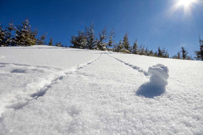 De leugen als sneeuwbal, ook in het arbeidsrecht