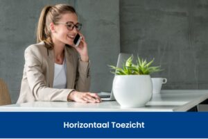 Horizontaal Toezicht, zo werkt het